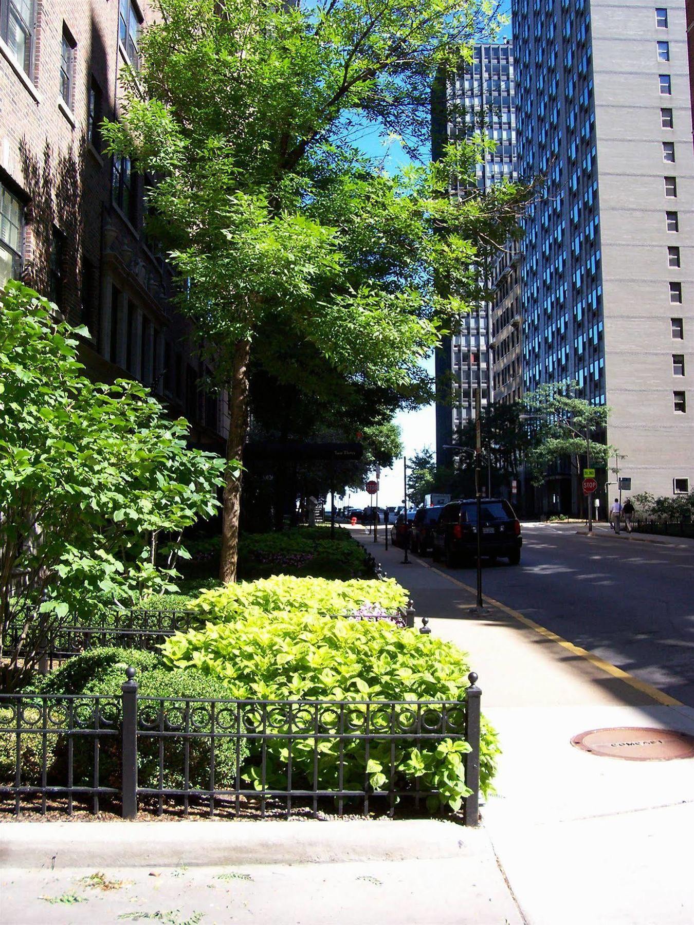 Dewitt Hotel And Suites Chicago Extérieur photo